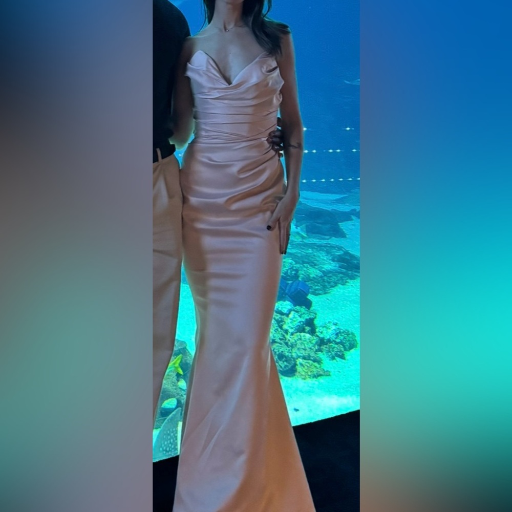 House of CB Blush Pink Gown - Worn Once